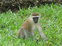 Kenya 123